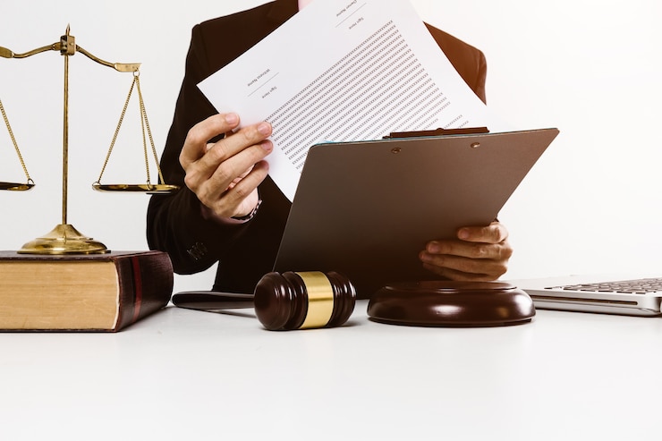 Professional legal services